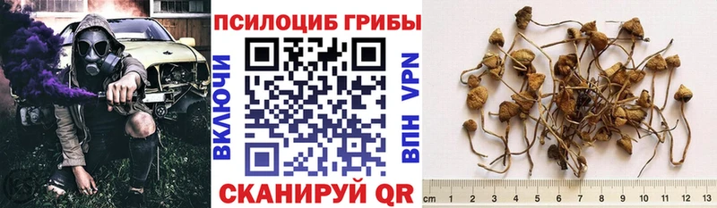 hydra ТОР купить сайты Электроугли Галлюциногенные грибы Cubensis